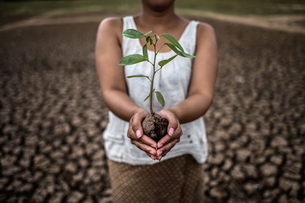 women are stand holding seedlings are in dry land 2023 11 27 05 18 21 utc